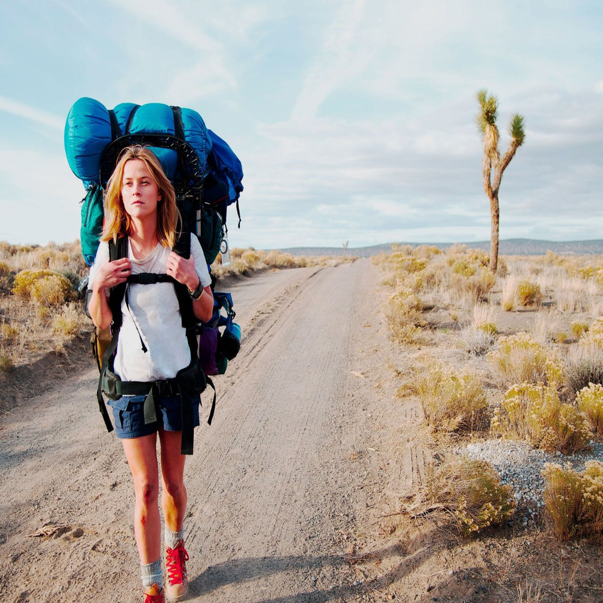 If you think adventure is dangerous, try routine. Its lethal.